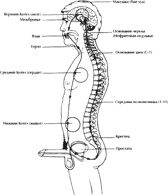 Рис 3 Микрокосмическая орбита Когда вы откроете в себе способность - фото 3