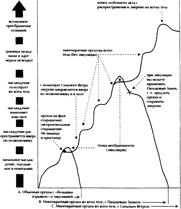 Рис 4 Ваш оргазмический потенциал Вместо обычного оргазма А с большим - фото 4
