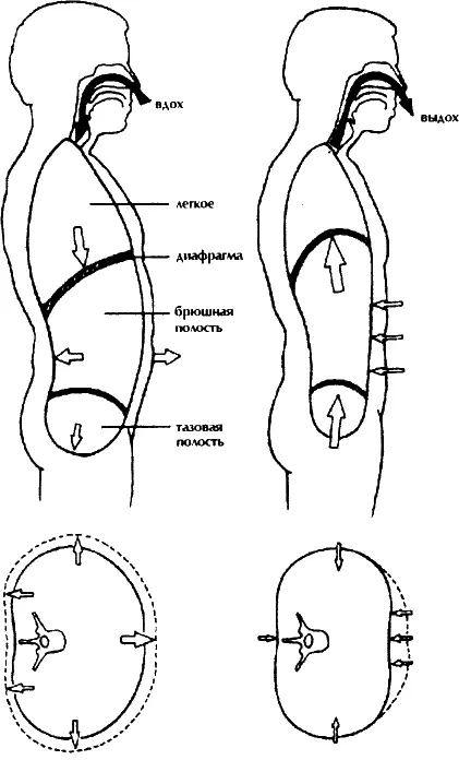 Рис 5 Брюшное дыхание УПРАЖНЕНИЕ 2 Счет до ста 1 Медленно вдохните - фото 5