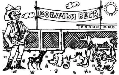 Но скоро я забыл своё недовольство У Чёрного Льва и впрямь оказался прекрасный - фото 12