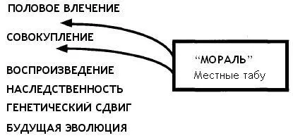 Половое влечение совокупление воспроизведение наследственность генетический - фото 40