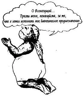 Времясвязывание передача символов и инструментов из поколения в поколение - фото 42