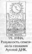 Карта Луна изображает расовосеменную разумность СТАДИЯ 19 Нейрогенетич - фото 102