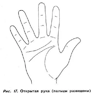 ЧЕТЫРЕ КВАДРАНТА Ладонь делится на четыре части двумя воображаемыми линиями - фото 16
