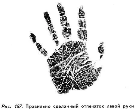 Придерживая лист ватмана за края попросите клиента поднять руки прямо и вверх - фото 181