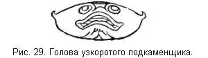 Ловлей подкаменщика занимаются редко так как он живет в мелких местах и больше - фото 30