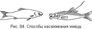 Протащив иглой басок с якорьком так чтобы последний стал на место иглу опять - фото 85