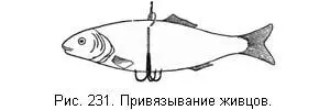 Поводок делается из басовой скрипичной струны которая должна быть возможно - фото 28