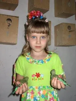 Попугаи от А до Я - фото 36