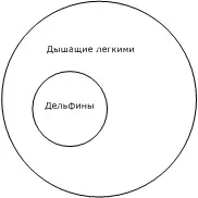 Рис 8 В результате умозаключения понятие млекопитающие выпадает Нас - фото 8
