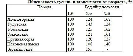 При содержании в одном стаде нескольких пород гусей каждую породу держат - фото 1