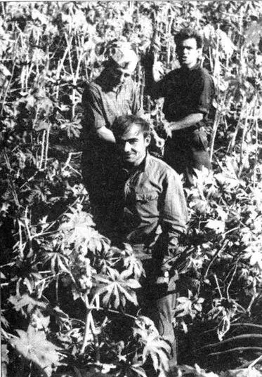 Запорожье 1965 год I курс на уборке клещевины 1967 год III курс возле - фото 147