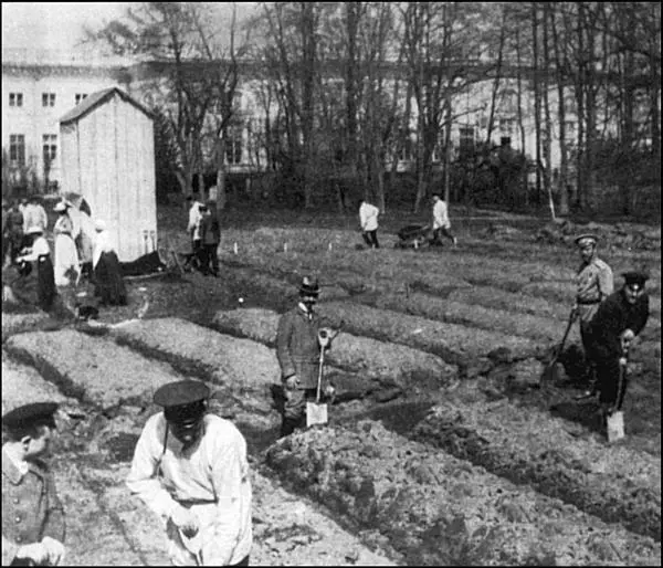 1917 год Царская семья интернированная в Царском Селе за огородными - фото 34