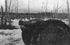 Полковая пушка образца 1927 года Могли пролежать и лежали в снегу по - фото 28