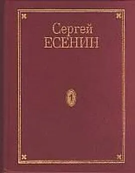 Сергей Есенин - Том 5. Проза