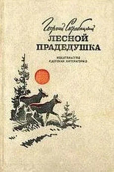 Георгий Скребицкий - Лесной прадедушка (Рассказы о родной природе)