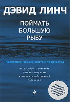 Дэвид Линч - Поймать большую рыбу