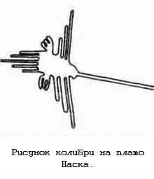 Тщательные наблюдения Райхе привели к новым важным открытиям Большинство - фото 129