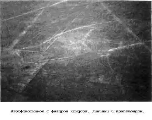 Она также провела аналогию между одной из наиболее известных фигур гигантской - фото 134