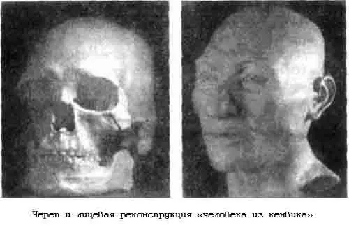 Анатомы и археологи участвующие в изучении этих скелетов неустанно - фото 148