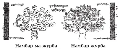 Тибетское схематическое изображение двух деревьев первое символизирует собой - фото 1