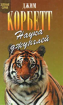 Джим Корбетт - Храмовый тигр