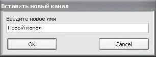 Рис 215Ввод имени канала В данном окне в поле Введите новое имянужно указать - фото 41