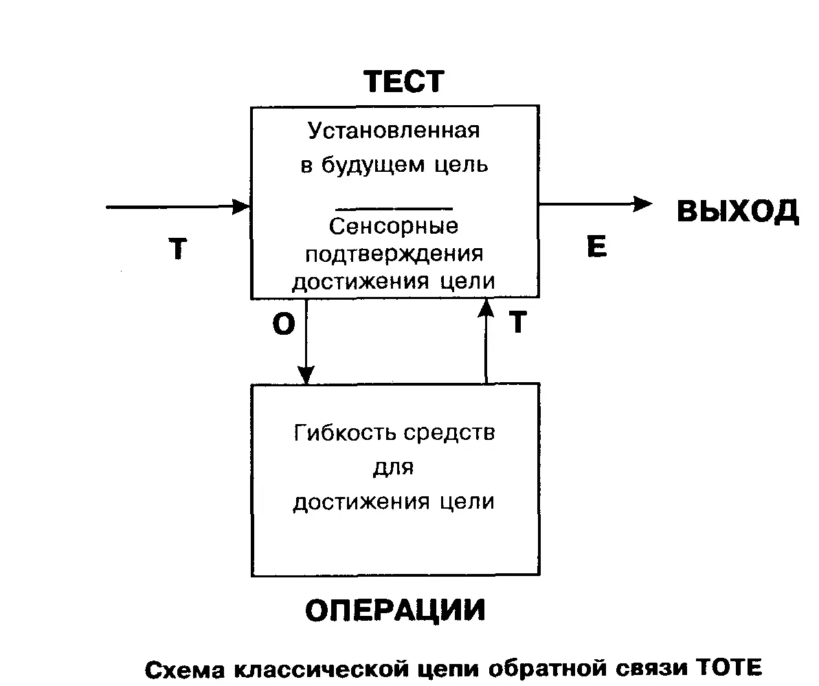 В соответствии с аристотелевым определением души живых существ живое - фото 4