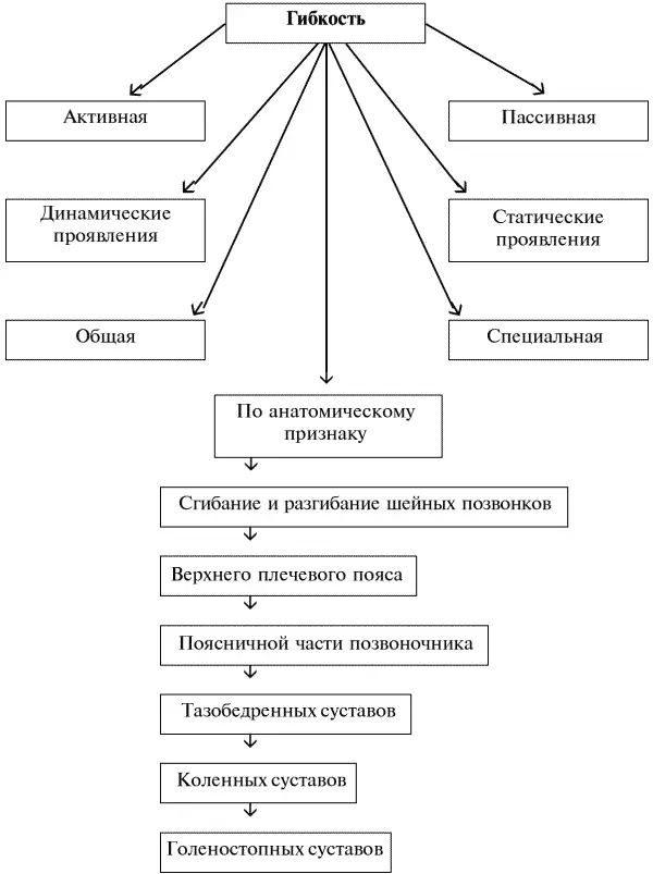 Факторы влияющие на развитие гибкости К основным факторам влияющим на - фото 128