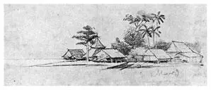 Деревня Мар на острове Лоадо Рис Н Н МиклухоМаклая 23 февраля 1874 г - фото 64