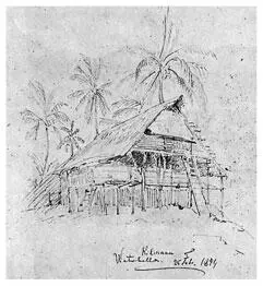 Хижина на сваях Остров Ватабелла Рис Н Н МиклухоМаклая 25 февраля 1874 - фото 65