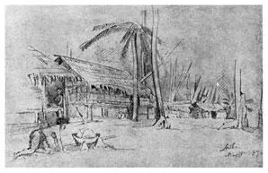 Айва Рис Н Н МиклухоМаклая Март 1874 г Наконец крики усилились - фото 74