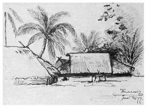 Деревня Телята Рис Н Н МиклухоМаклая Июль 1877 г Каждым вангом - фото 96