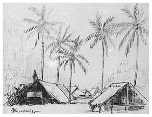 Деревня Телята Рис Н Н МиклухоМаклая Июль 1877 г Итак часов в 8 - фото 97