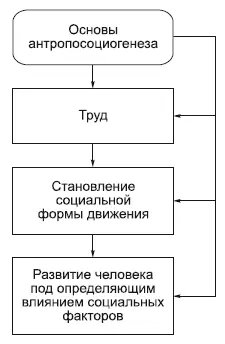 По ископаемым останкам древних существ палеонтологи составили общую картину - фото 34