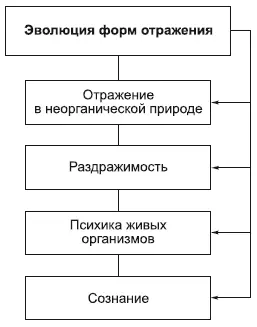 Отражение это способность материальных объектов воспринимать определенные - фото 37