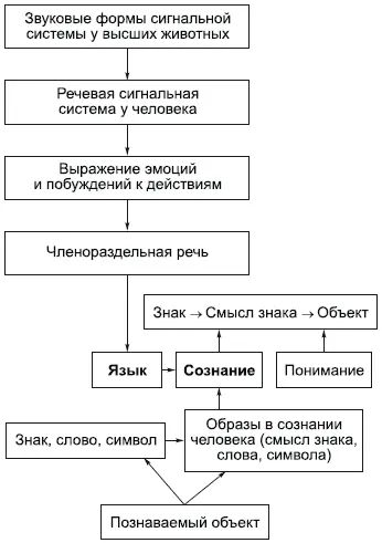 Под языком понимается любая система знаковслужащая человеку для получения - фото 40