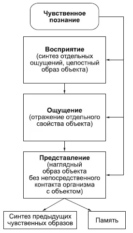 Материальные объекты со стороны их явления отражаются в ощущениях восприятиях - фото 57