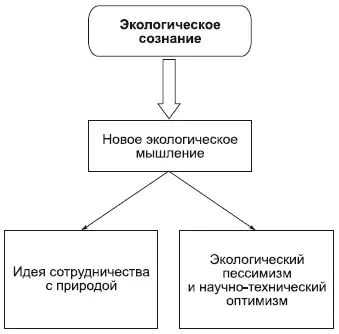 Сегодня предлагаются различные варианты оценки и решения экологической - фото 88