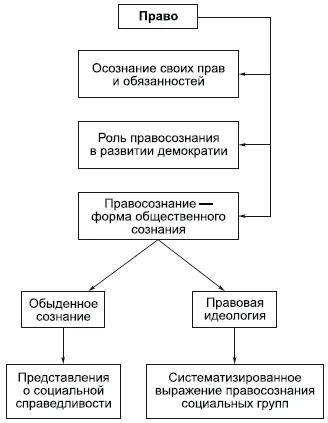 Право и правосознание взаимосвязаны Когда государство устанавливает правовые - фото 114