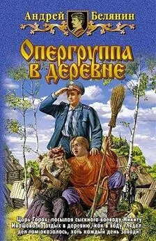 Андрей Белянин - Опергруппа в деревне