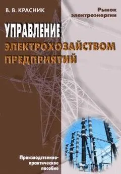 Валентин Красник - Управление электрохозяйством предприятий