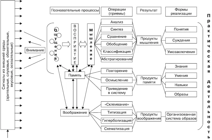 Рис1 Схема обработки информации в психике человека Объединившись ощущения - фото 1