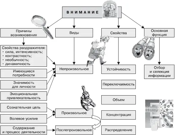 Рис 2Основные характеристики внимания Г К Середа дал такое определение - фото 2