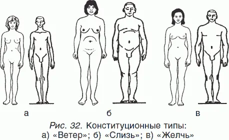 Ввиду того что Желчь состоит из первоэлементов Огонь и Вода то является - фото 51