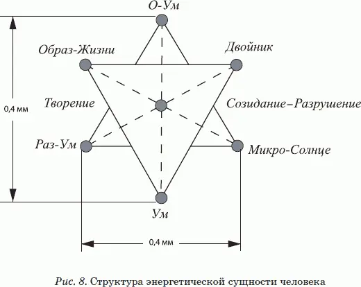 Самое главное отличие наличие у каждой энергетической сущности человека трех - фото 8