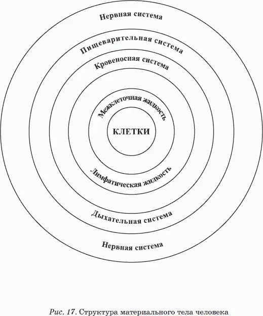 Шестым источником болезней организма является состояние внешней среды в - фото 19