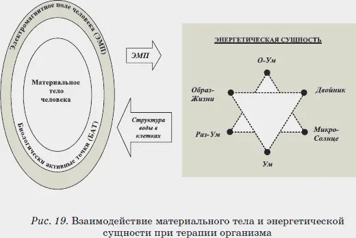 Изменение электромагнитного поля организма запоминается в комплексе Двойник и - фото 21