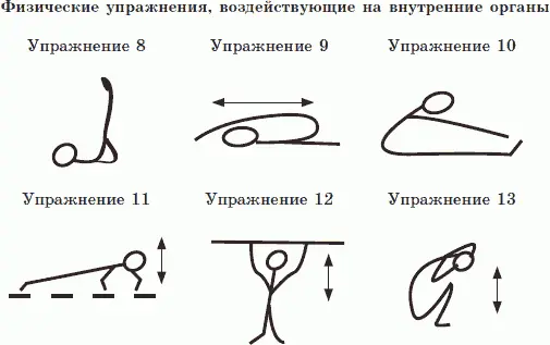 Практика показала что ежедневно выполнять одни и те же упражнения не стоит - фото 37
