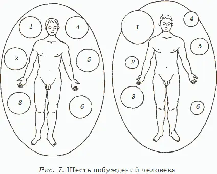 Глядя на эти два рисунка сразу становится ясным такой феномен если человек - фото 7